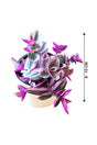 Tradescantia Nanouk - Tradescantia Albiflora 'Nanouk' - Plantsworld.ae