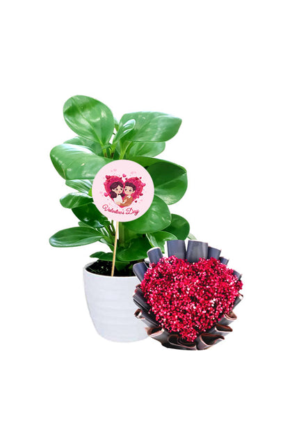 Valentine's Day Gift- Peperomia Obtusifolia with Flower Bouquet