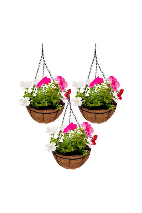 Combo of 3 Hanging Petunia in Coir Pot – Vibrant Hanging Plants for a Beautiful Floral Display
