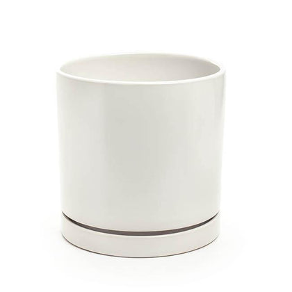 White Ceramic Pot - White Ceramic Pot - Plantsworld.ae