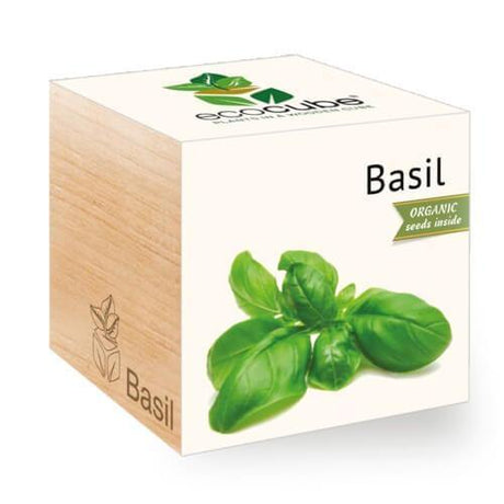 basil-ecocubes-online-in-dubai-uae