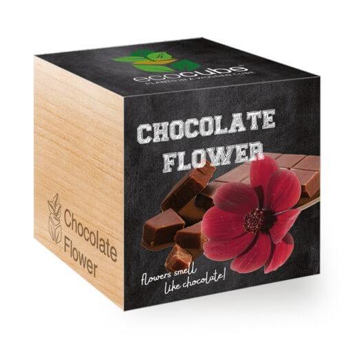 chocolate-flower-ecocubes-online-in-dubai-uae