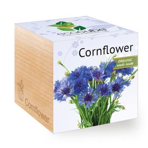 cornflower-ecocubes-online-in-dubai-uae