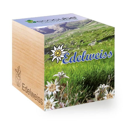 edelweiss-ecocubes-online-in-dubai-uae