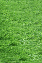 Artifitial Grass - K 46 (47 mm)