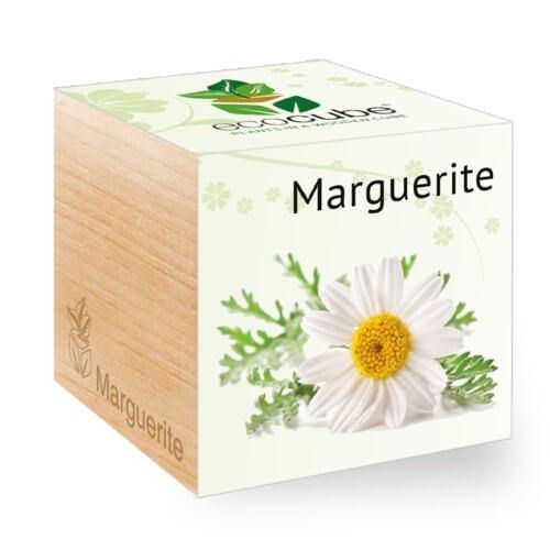 marguerite-ecocubes-online-in-dubai-uae