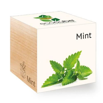 mint-ecocubes-online-in-dubai-uae