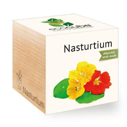 nasturtium-ecocubes-online-in-dubai-uae