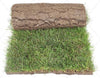 Outdoor plants online in dubai-uae Natural-Grass-Carpet-Roll-Mexican-Variety