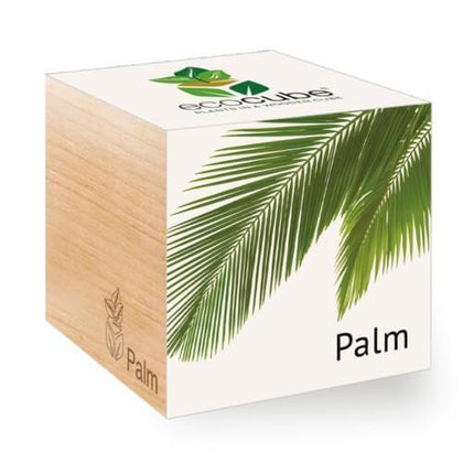 palm-ecocubes-online-in-dubai-uae