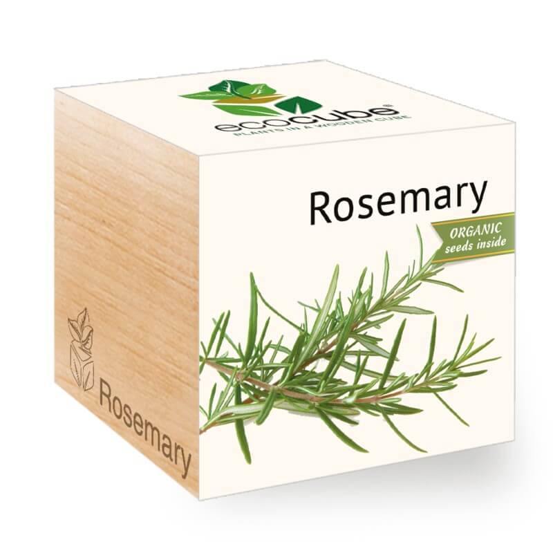 rosemary-ecocubes-online-in-dubai-uae
