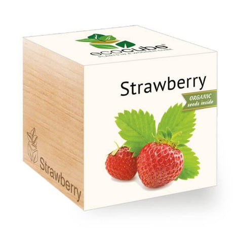 strawberry-ecocubes-online-in-dubai-uae