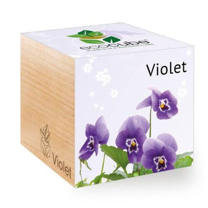 violet-ecocubes-online-in-dubai-uae